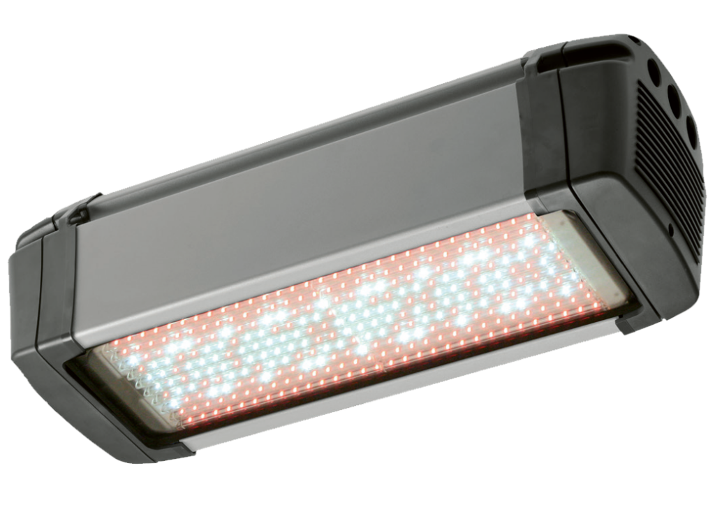 LED FL300 Grow White von DGT by Senmatic